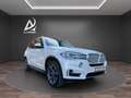 BMW X5 xDrive25d 7posti Tetto Vetri oscurati Pelle Totale Bianco - thumbnail 3