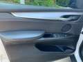 BMW X5 xDrive25d 7posti Tetto Vetri oscurati Pelle Totale Blanc - thumbnail 16