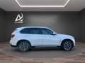 BMW X5 xDrive25d 7posti Tetto Vetri oscurati Pelle Totale Bianco - thumbnail 4