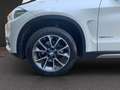 BMW X5 xDrive25d 7posti Tetto Vetri oscurati Pelle Totale Bianco - thumbnail 15