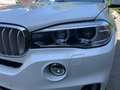 BMW X5 xDrive25d 7posti Tetto Vetri oscurati Pelle Totale Blanc - thumbnail 17