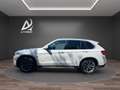 BMW X5 xDrive25d 7posti Tetto Vetri oscurati Pelle Totale Bianco - thumbnail 8