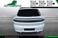 Porsche Cayenne Coupé 3.0 V6*Matrix-Bose-Ordinabile* Bianco - thumbnail 2