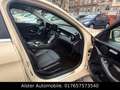 Mercedes-Benz C 220 C -Klasse Lim. C 220 BlueTec / d Yellow - thumbnail 10
