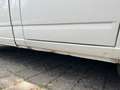 Volkswagen T4 Multivan Multivan Aufstelldach Ds. Weiß - thumbnail 10