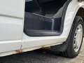 Volkswagen T4 Multivan Multivan Aufstelldach Ds. Weiß - thumbnail 20