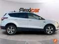 Ford Kuga 2.0TDCi Auto S&S ST-Line 4x4 PS 150 Blanco - thumbnail 5