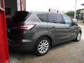 Ford S-Max S-Max 2.0 tdci Titanium s LEGGERE DESCRIZIONE Grijs - thumbnail 3