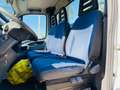 Iveco Daily 35C10 2.3 Hpi CASSONE - GEMELLATO Blanc - thumbnail 6