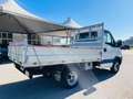 Iveco Daily 35C10 2.3 Hpi CASSONE - GEMELLATO Blanc - thumbnail 13