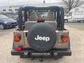 Jeep Wrangler Grey - thumbnail 11