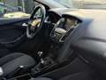 Ford Focus Titanium Blau - thumbnail 25