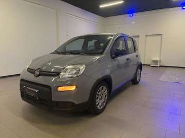 Panda 1.0 firefly hybrid SeS