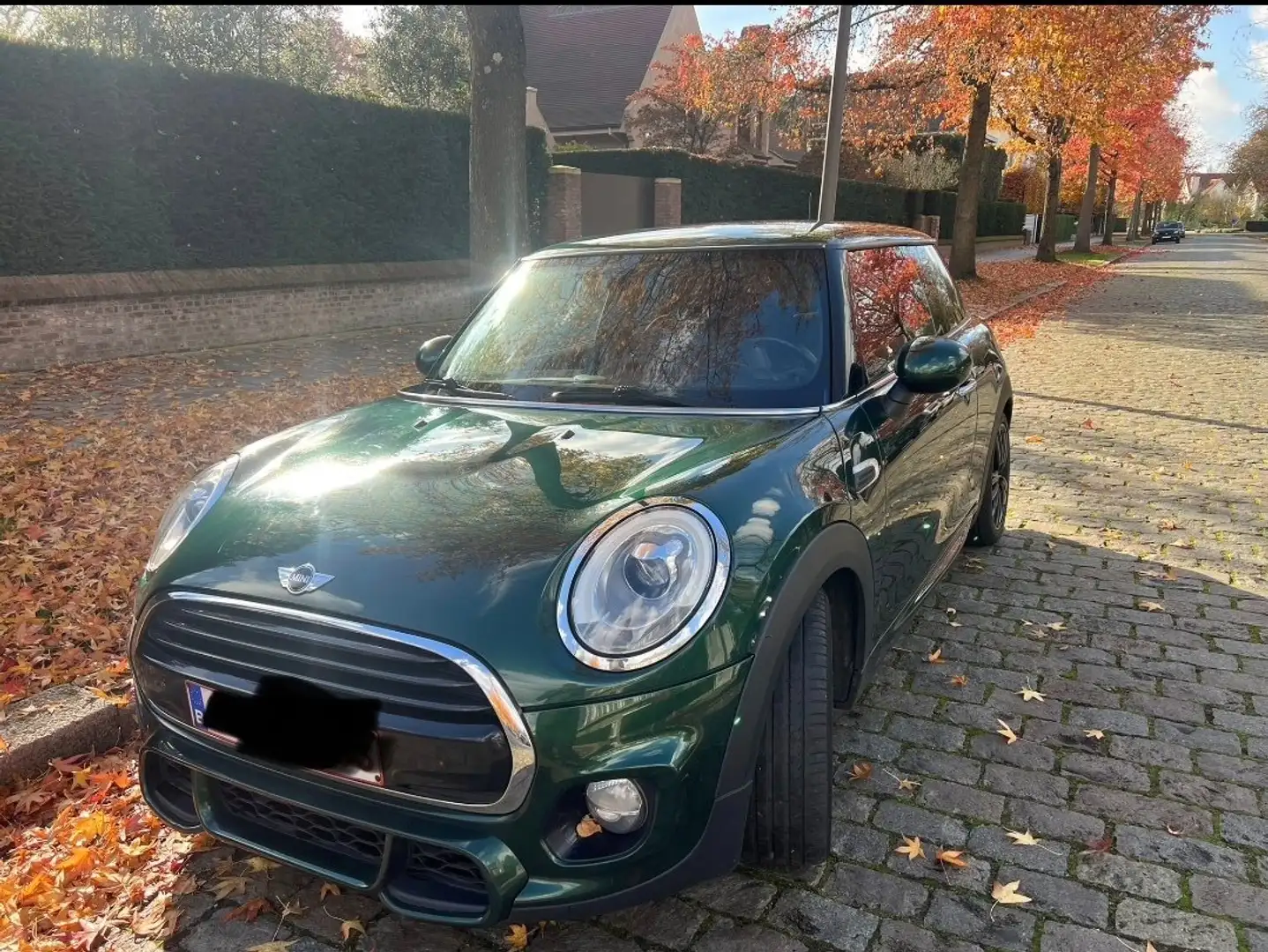 MINI Cooper S Coupe Mini Cooper S Coupe Aut. Grün - 1