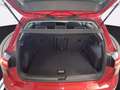 Volkswagen Golf 1.0 etsi evo life 110cv dsg Rosso - thumbnail 11