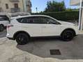 Toyota RAV 4 RAV4 25H ECVT DYNAMIC 4WD MY18 Bianco - thumbnail 6