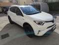 Toyota RAV 4 RAV4 25H ECVT DYNAMIC 4WD MY18 Bianco - thumbnail 7