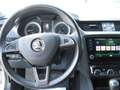 Skoda Octavia Style Combi DSG RFK AHK Blindspot Silber - thumbnail 8