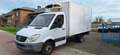 Mercedes-Benz Sprinter 516CDI-CARRIER PULSOR 350 -20° Blanc - thumbnail 1
