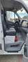 Mercedes-Benz Sprinter 516CDI-CARRIER PULSOR 350 -20° Blanc - thumbnail 6