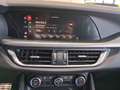 Alfa Romeo Stelvio Stelvio 2023 2.2 t Veloce Q4 210cv auto Nero - thumbnail 13