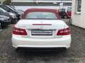 Mercedes-Benz E 350 Cabrio BlueEFFICIENCY 7G.AMG Line Nackenheizug Alu Weiß - thumbnail 6