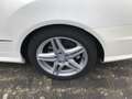 Mercedes-Benz E 350 Cabrio BlueEFFICIENCY 7G.AMG Line Nackenheizug Alu Weiß - thumbnail 18