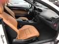 Mercedes-Benz E 350 Cabrio BlueEFFICIENCY 7G.AMG Line Nackenheizug Alu Weiß - thumbnail 8