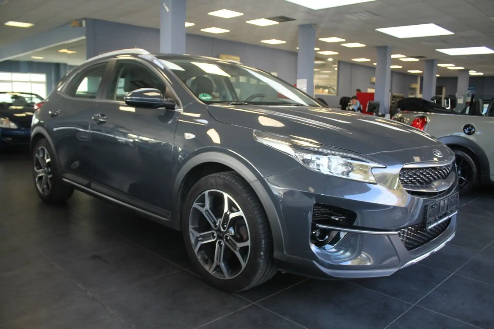Kia XCeed 1.6 CRDi Eco-Dynamics 48V Mild Hybrid Platinum Edi Gris - 1