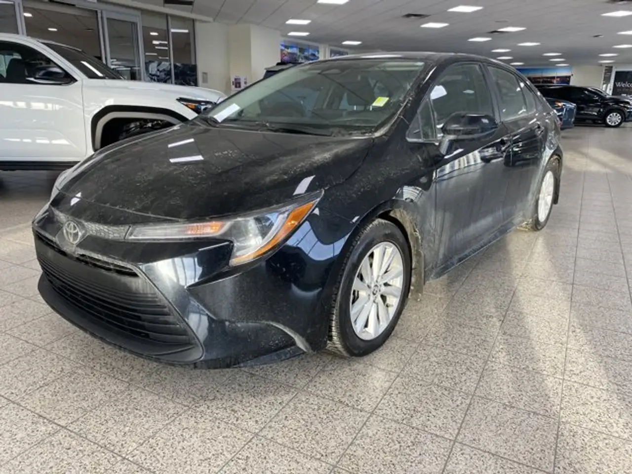 2025 Toyota Corolla