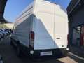 Ford Transit 2.0 TDCI 170CV L4H3 JUMBO PROLUNGATO PDC CRUISE Bianco - thumbnail 8