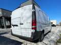 Mercedes-Benz Vito Kasten 114 CDI extralang Bianco - thumbnail 4