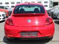 Volkswagen Beetle The 1.4 TSI Rot - thumbnail 6
