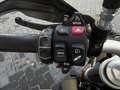 BMW F 900 R Bleu - thumbnail 13