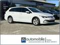 Volkswagen Golf Variant VIII 2.0 TDI DSG Life*VC*ACC*NAVI* Weiß - thumbnail 1