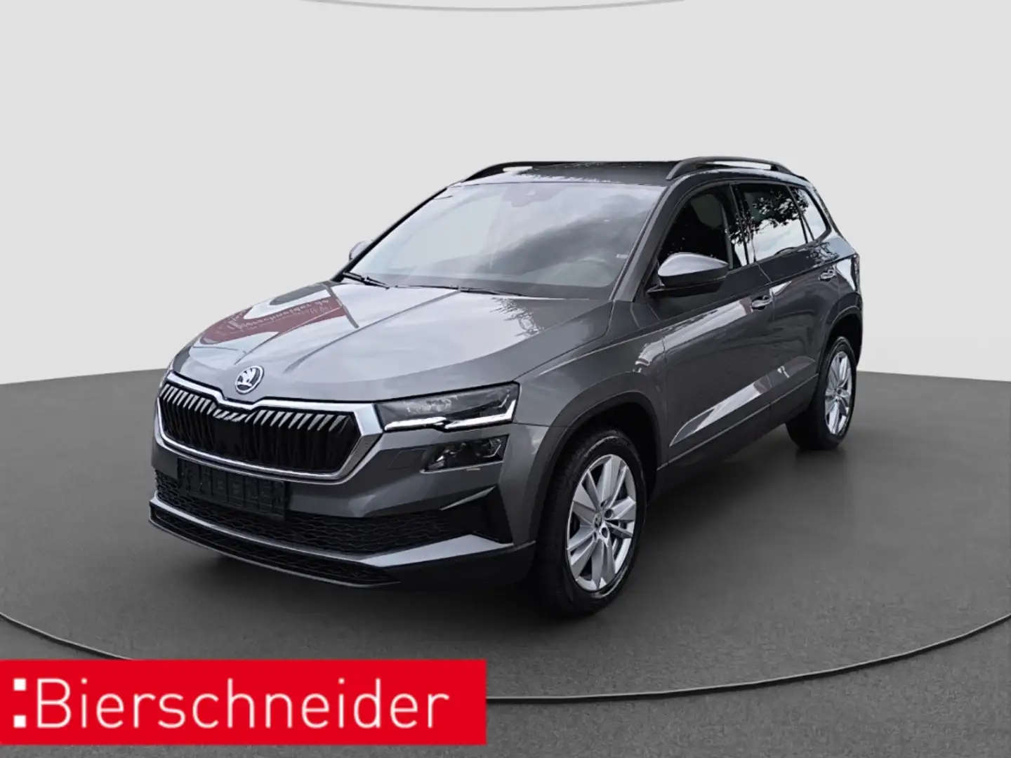 Skoda Karoq 1.5 TSI DSG Selection ACC MATRIX-LED NAVI Grau - 1