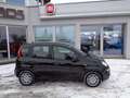 Fiat Panda 4x2 FireFly Hybrid 70 Schwarz - thumbnail 2