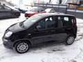 Fiat Panda 4x2 FireFly Hybrid 70 Schwarz - thumbnail 6