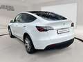 Tesla Model Y AHK RWD ACC Glasdach Autopilot gen.1.0 Soundsystem Alb - thumbnail 4