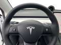 Tesla Model Y AHK RWD ACC Glasdach Autopilot gen.1.0 Soundsystem Alb - thumbnail 13