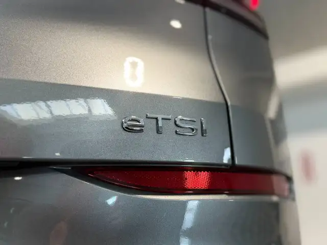 Volkswagen T-Roc view 14