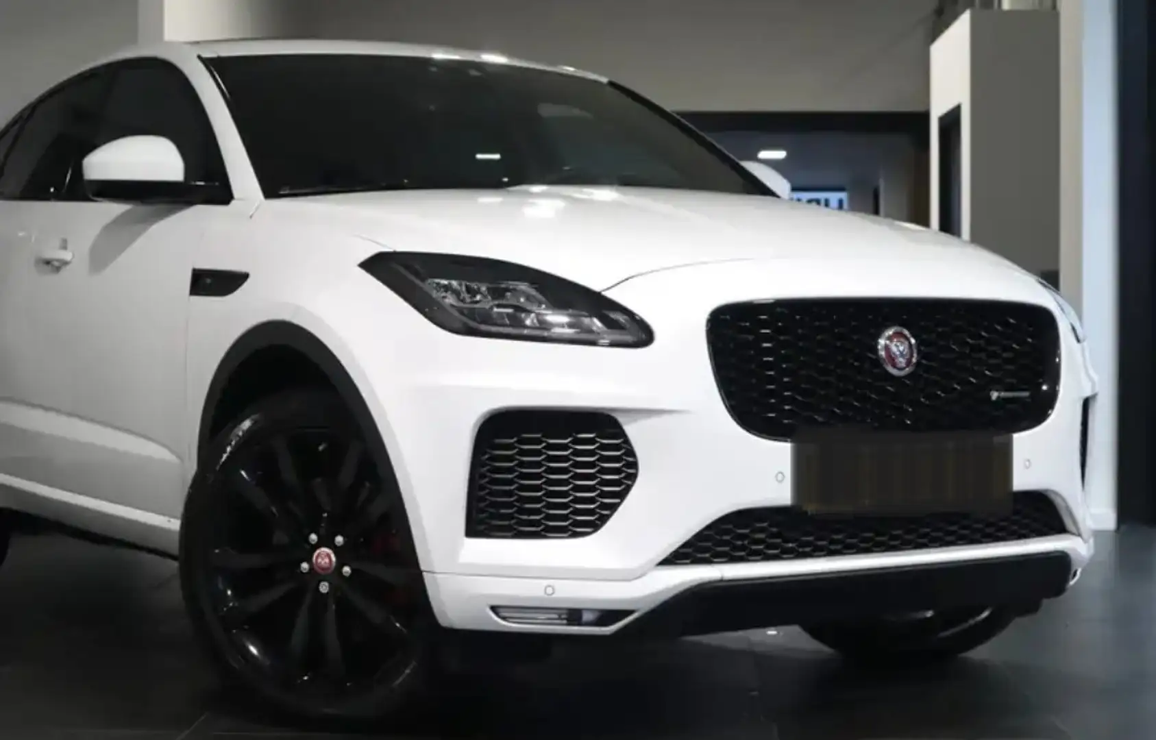 Jaguar E-Pace E-Pace+P250+AWD+Aut.+R-Dynamic Wit - 1