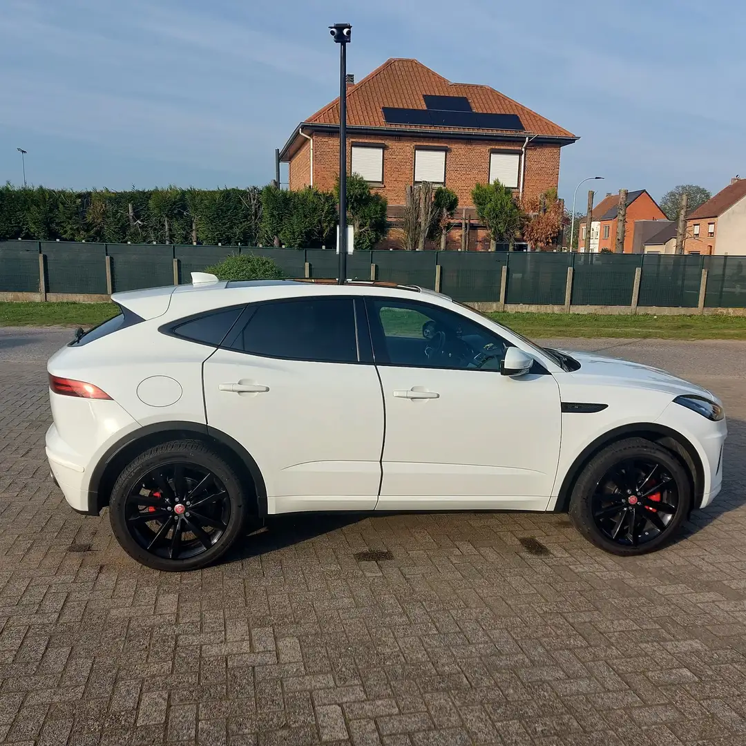 Jaguar E-Pace E-Pace+P250+AWD+Aut.+R-Dynamic Blanco - 1