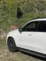 Mercedes-Benz GLS 350 d 4Matic 9G-TRONIC - thumbnail 6