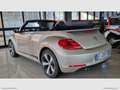 Volkswagen Maggiolino Cabrio 2.0TDI 150CV Sport BMT UNICOPROPRIETARIO - Bronze - thumbnail 10