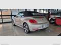 Volkswagen Maggiolino Cabrio 2.0TDI 150CV Sport BMT UNICOPROPRIETARIO - Bronze - thumbnail 5