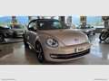 Volkswagen Maggiolino Cabrio 2.0TDI 150CV Sport BMT UNICOPROPRIETARIO - Bronze - thumbnail 3