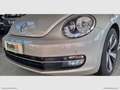Volkswagen Maggiolino Cabrio 2.0TDI 150CV Sport BMT UNICOPROPRIETARIO - Bronze - thumbnail 9