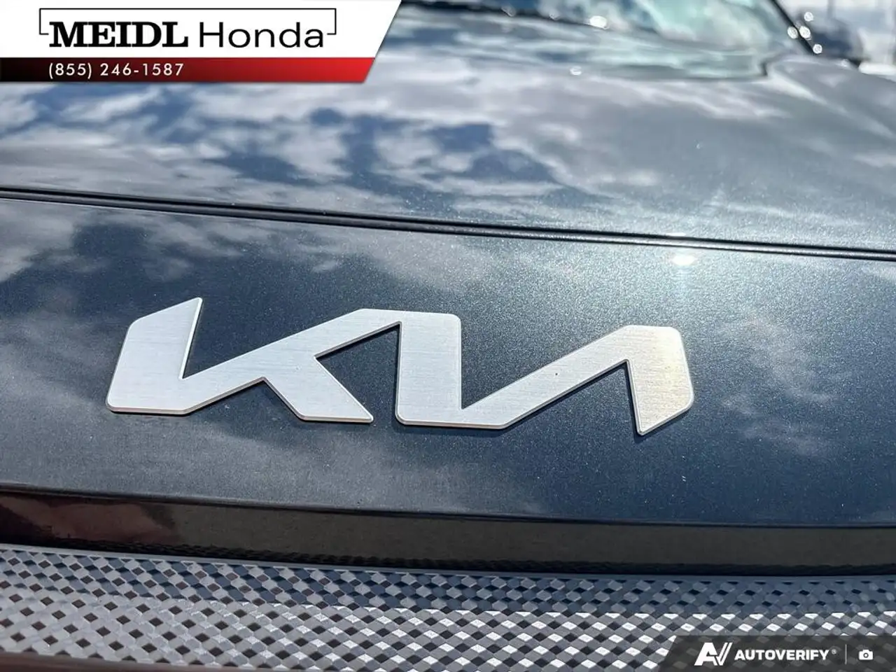 Kia Seltos fotografie Kia Seltos