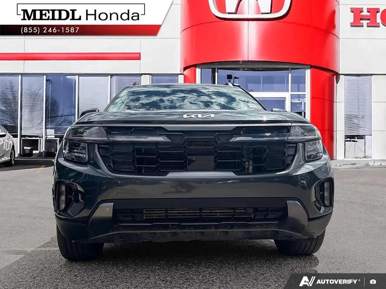 Kia Seltos fotografie Kia Seltos